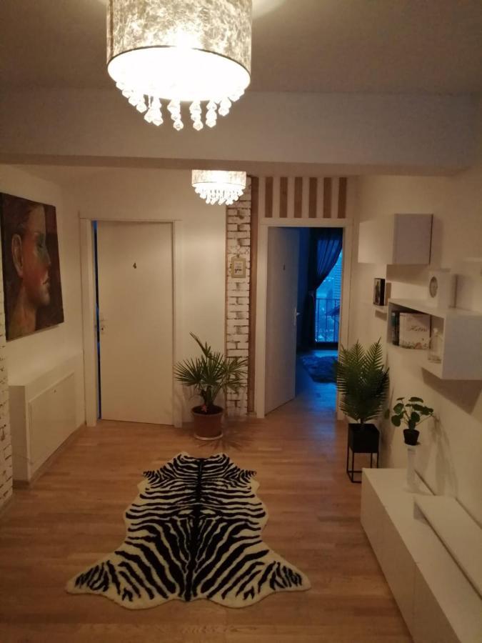 Pensiunea Timis Borşa Exteriör bild