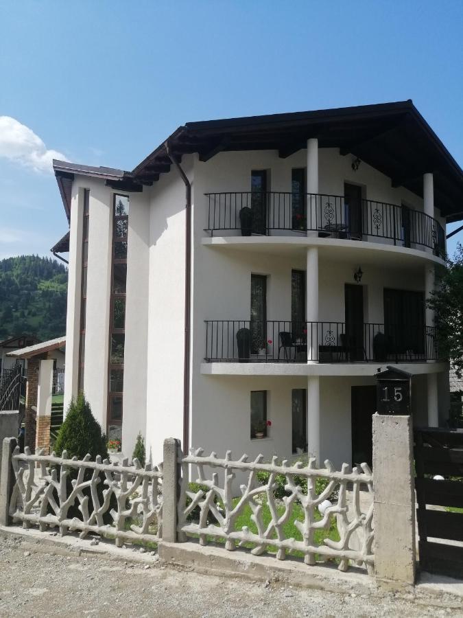 Pensiunea Timis Borşa Exteriör bild