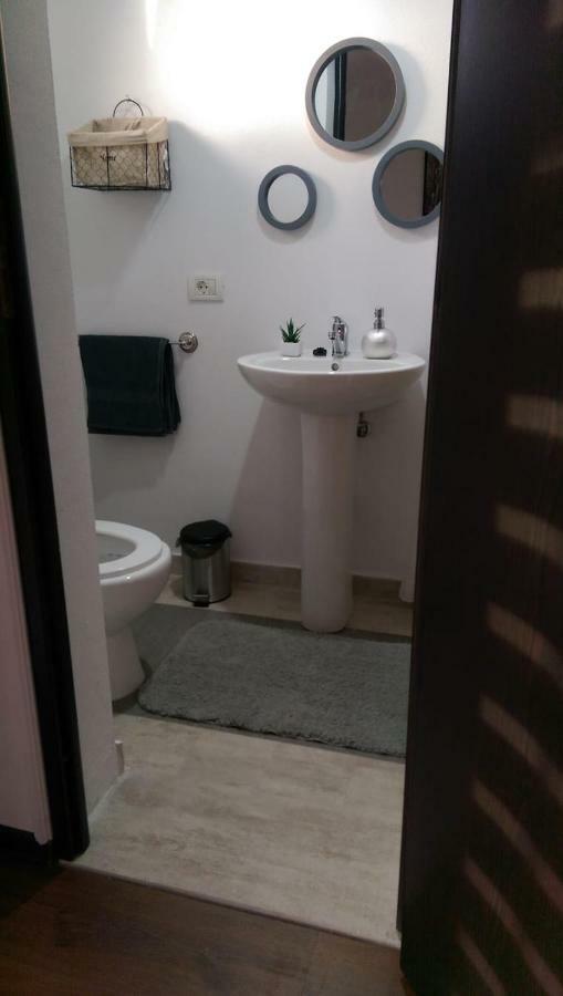 Pensiunea Timis Borşa Exteriör bild